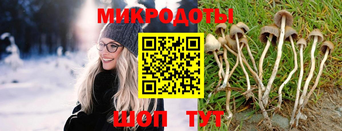 Йошкар-Ола  Псилоцибиновые грибы GOLDEN TEACHER  Вход с VPN  Псилоцибиновые грибы прущие грибы 