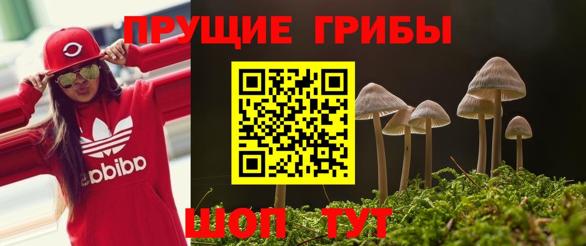 Псилоцибиновые грибы Magic Shrooms Йошкар-Ола